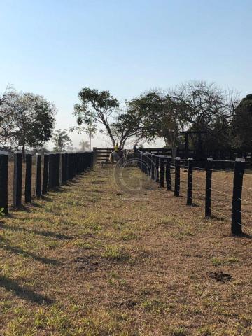 Fazenda 330 ha região chumbo poconé - Foto 17