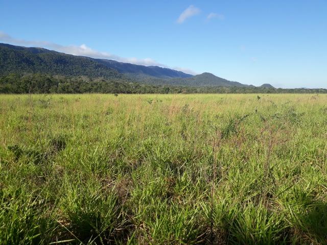 Fazenda em Rosário Oeste com 784 Hectares