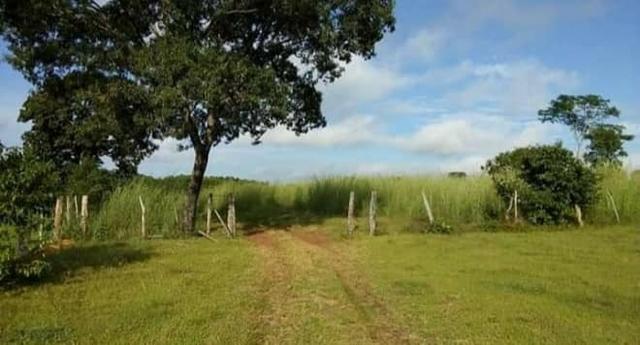 Fazenda 440 hectares - Livramento - Foto 5