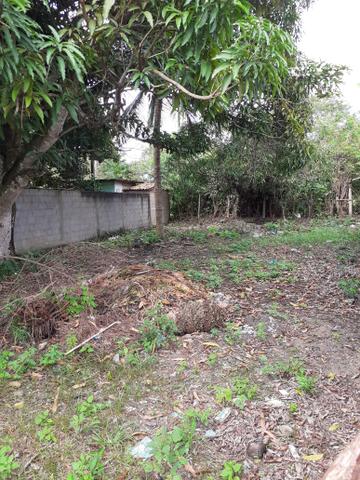 Terreno. - Foto 2
