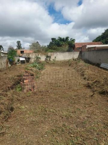 Terreno para venda em quatro barras, jardim das acácias, 2 dormitórios, 1 banheiro - Foto 4