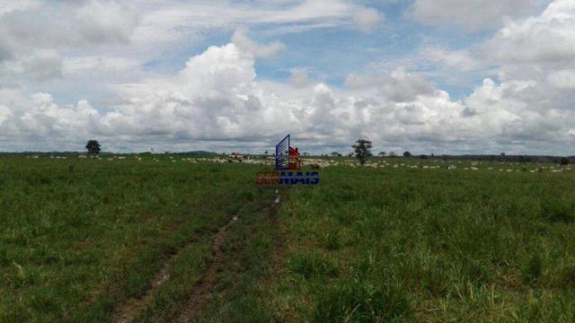 Fazenda à venda, por R$ 40.000.000 - Zona Rural - Rolim de Moura/RO - Foto 3