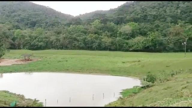 Chácara para venda em campina grande do sul, barra da cruz - Foto 4