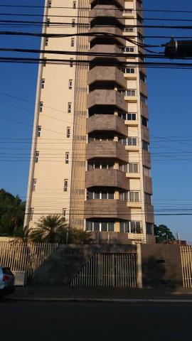 Excelente Floresta tropical - Foto 7