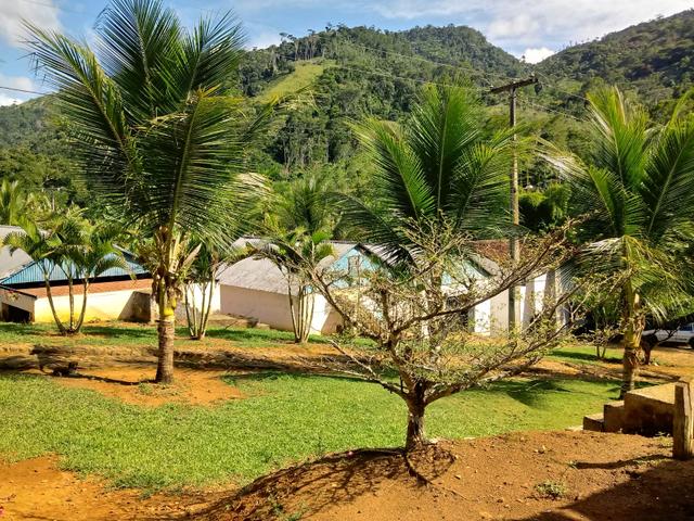 Fazenda Região de Coaraci - Foto 5