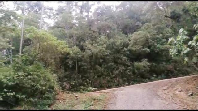 Chácara para venda em campina grande do sul, barra da cruz - Foto 12