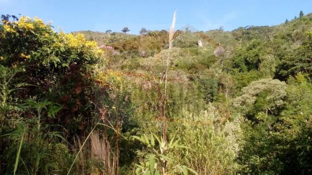 Chácara para venda em campina grande do sul, br 116 - Foto 16
