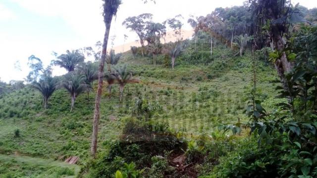 Chácara para venda em campina grande do sul, br 116 - Foto 5
