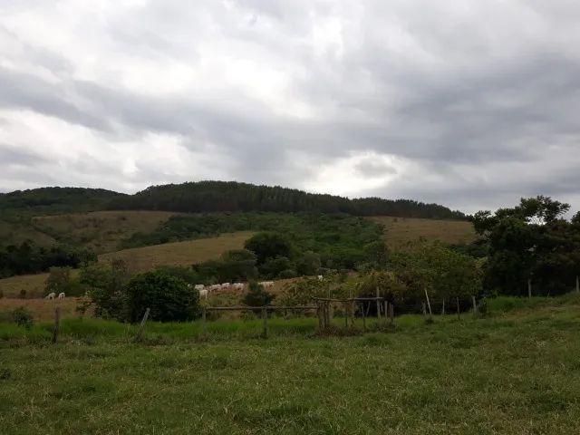 Paraopeba/Mg - Fazenda de 92hc