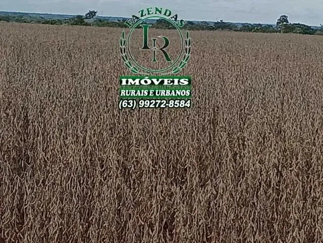 Fazenda Plantando 213 Alqueires