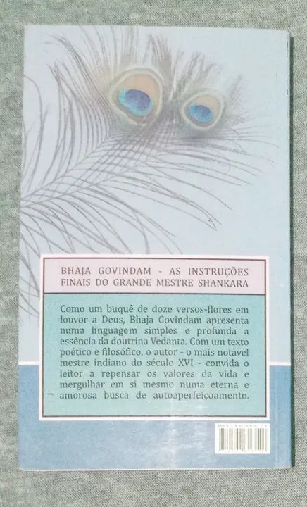 Bhaja Govindam as instruçoes finais do mestre shankara - Foto 2