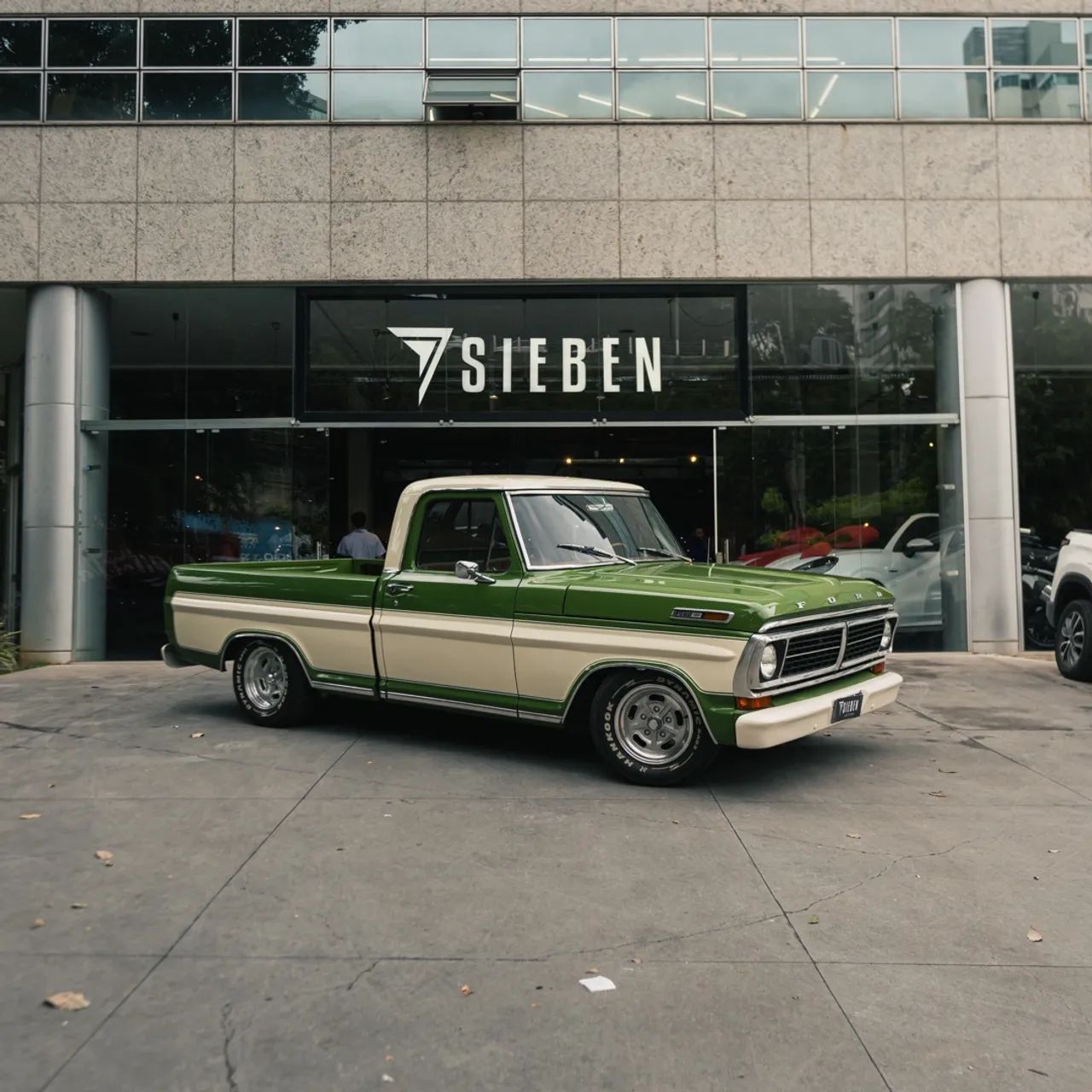 FORD F100 V8 302 MANUAL