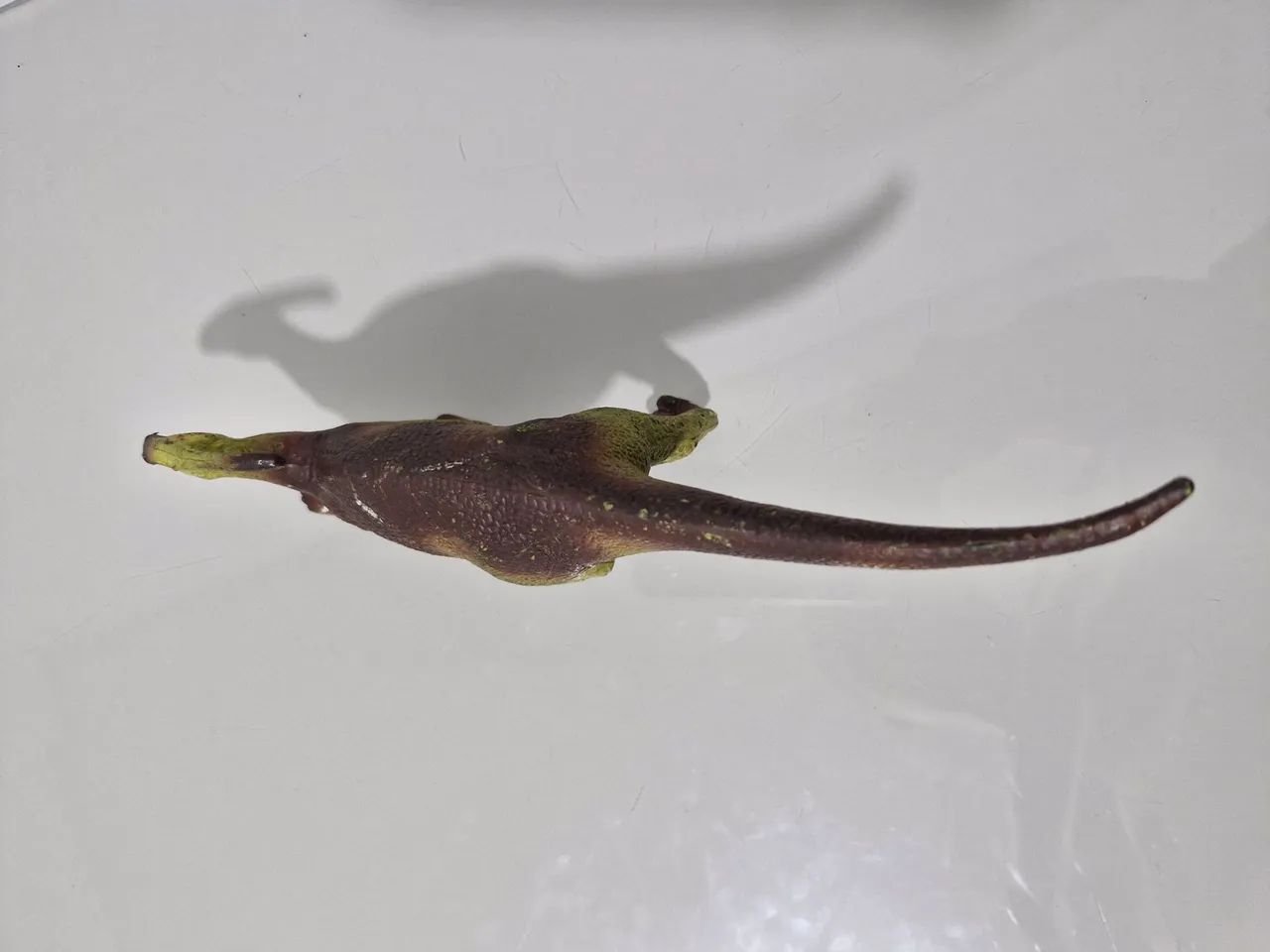 Parasaurolophus - Descobrindo o Mundo dos Dinossauros (Salvat 2001) - Foto 6