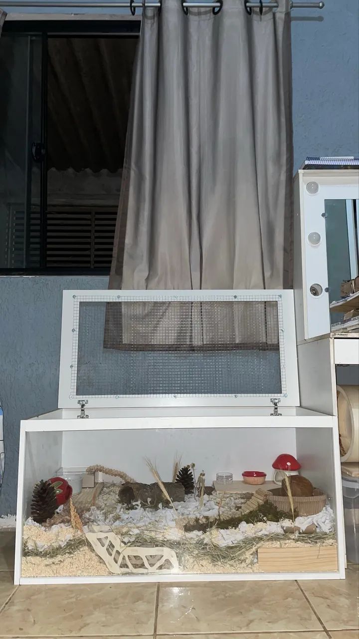 Terrário para hamster