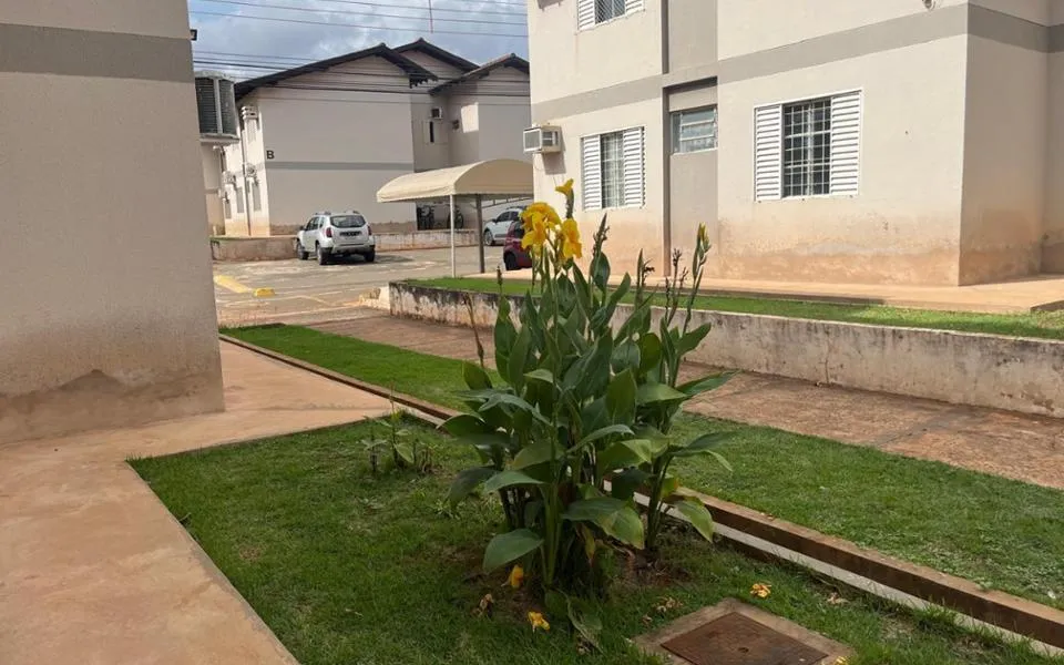 Campo Grande - Apartamento Padrão - Vila Carlota