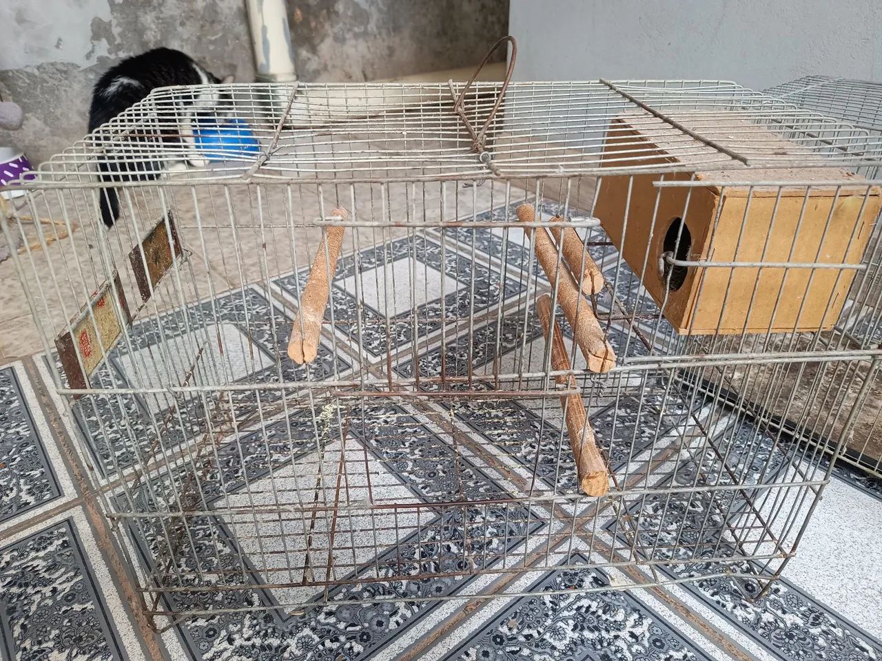 Gaiola de pássaro  - Foto 3