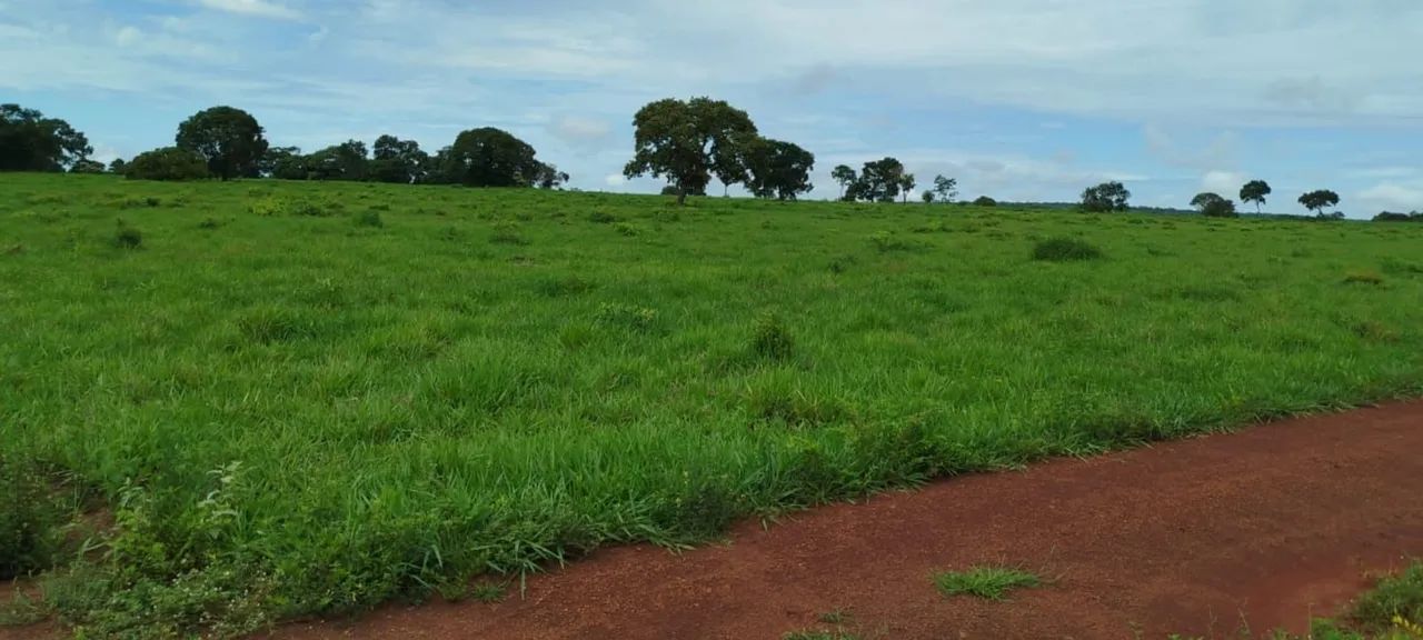 Fazenda entre Palmas to e Barrolândia to