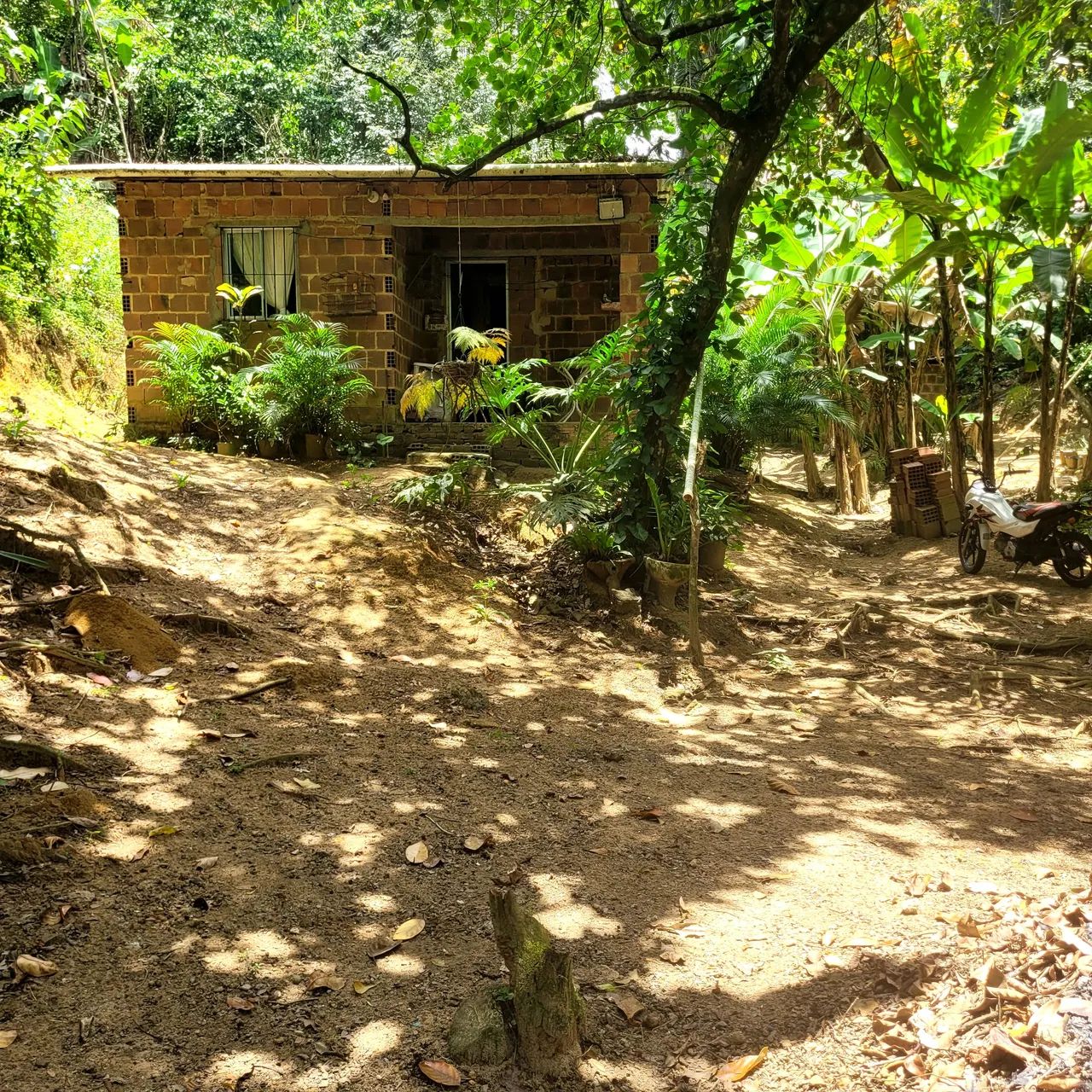 Foto - Camaragibe - Tabatinga