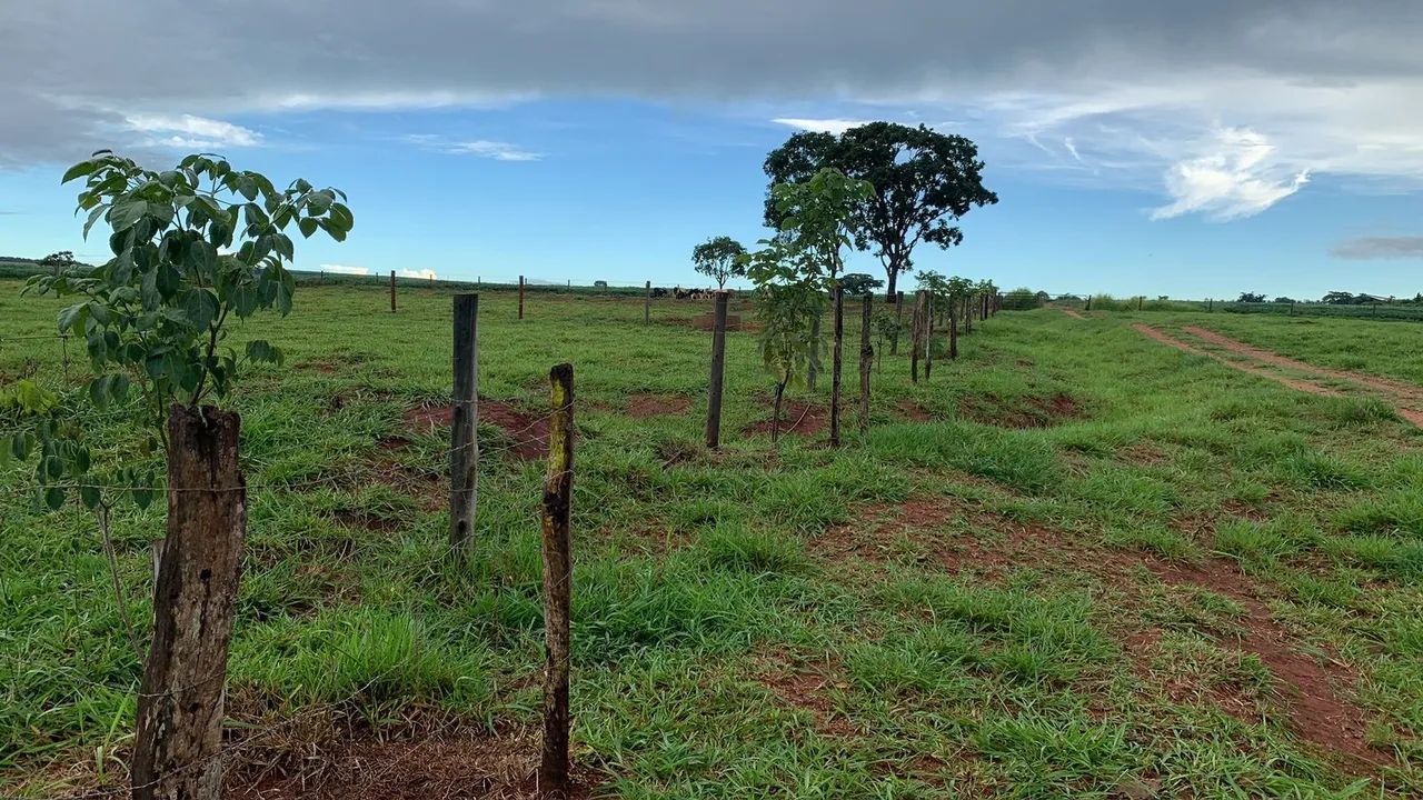 Fazenda de luxo em Uberlândia  - Foto 3