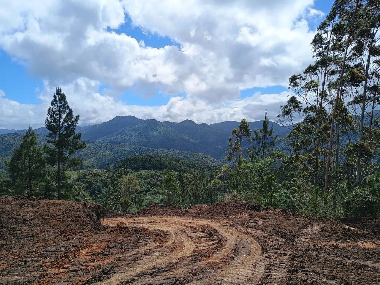ANITÁPOLIS/SC - Terreno com vista panorâmica 2hectares  - Foto 2