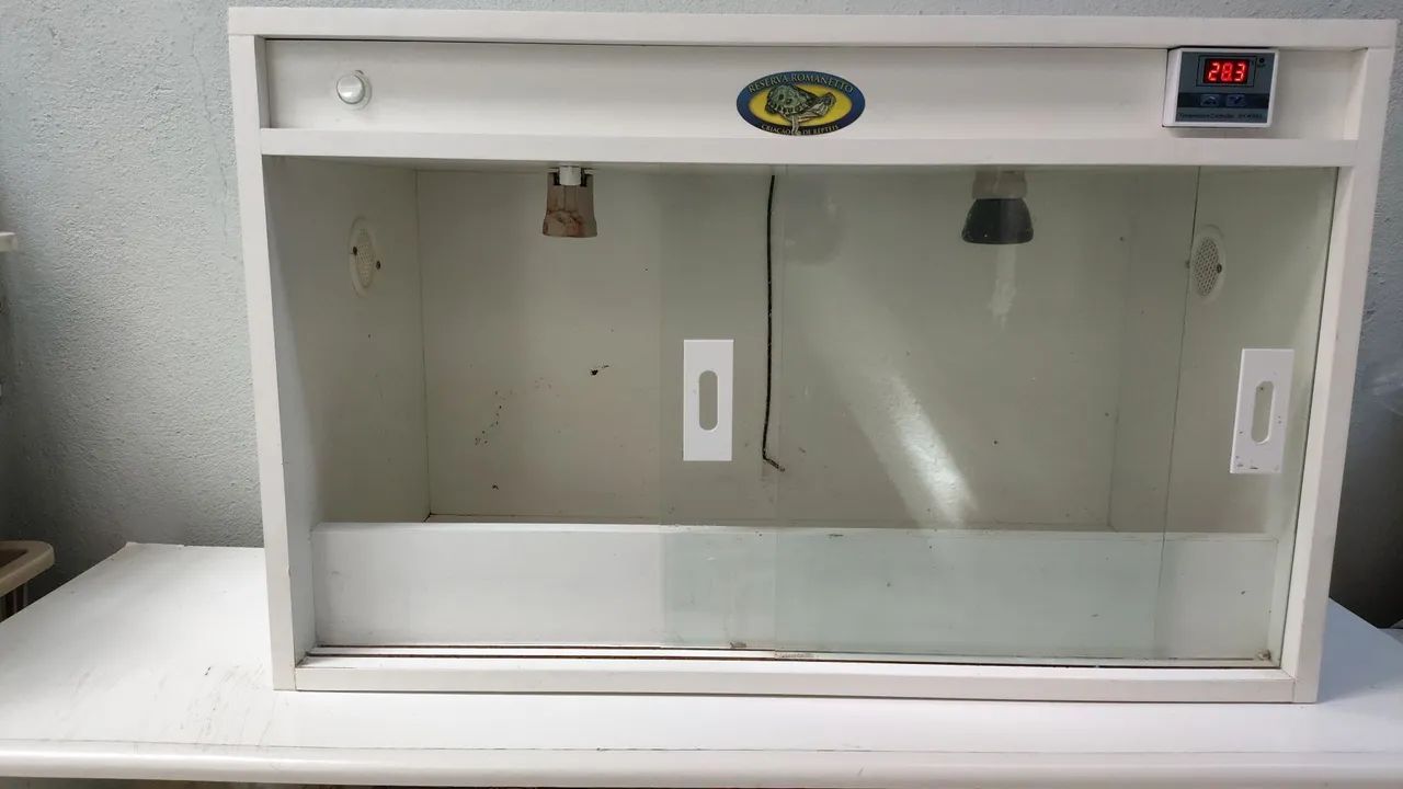 Terrário para Jabuti - Répteis completo com termostato 