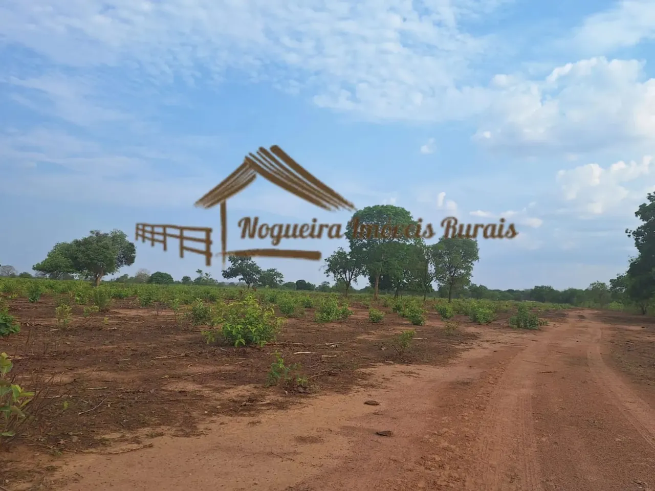 Fazenda com 250 hectares à venda em Cuiabá-MT