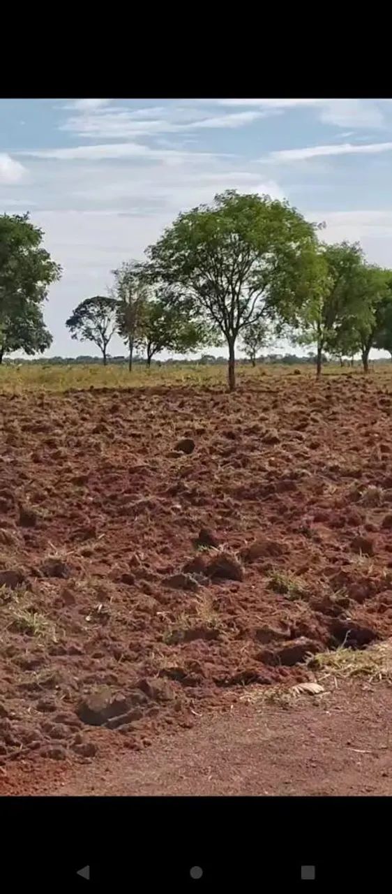 Fazenda Goiás - Mara Rosa 