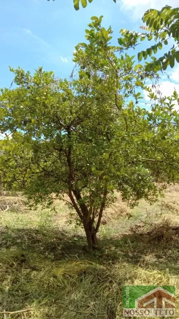 TERRENO À VENDA | JARDIM FLORENCE | CAMPINAS - Foto 4