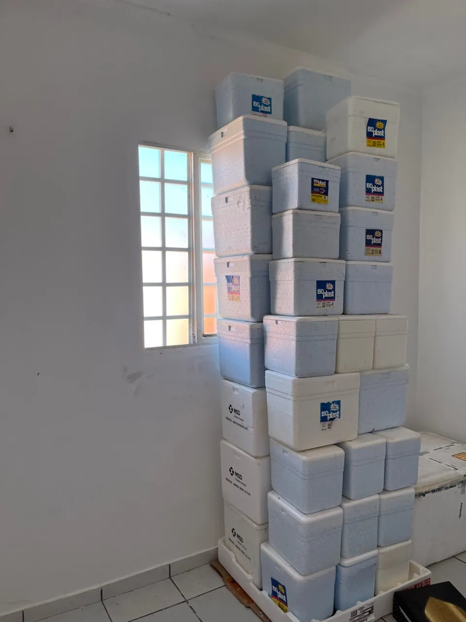 Caixas térmicas Iso-plast para transporte