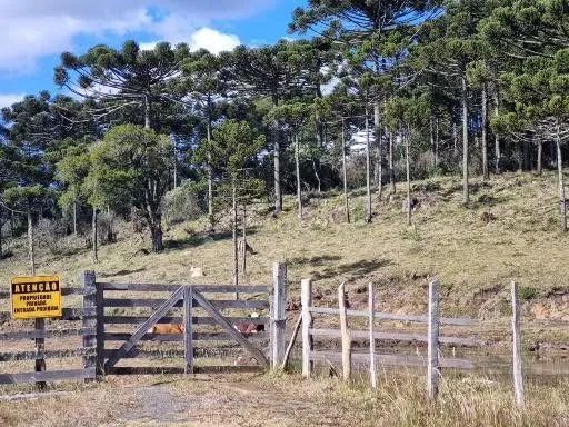 Terreno rural com 128 hectares em São Joaquim-SC - Foto 5