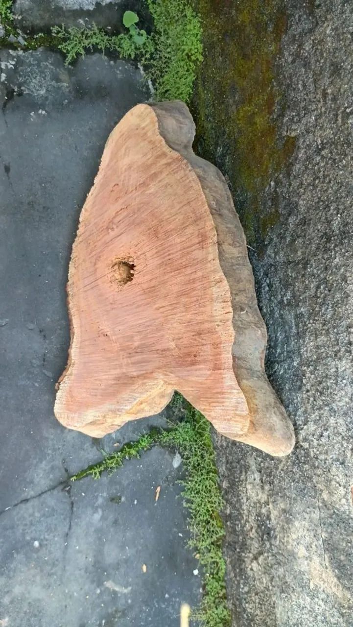 Madeira cedro64175984498563123