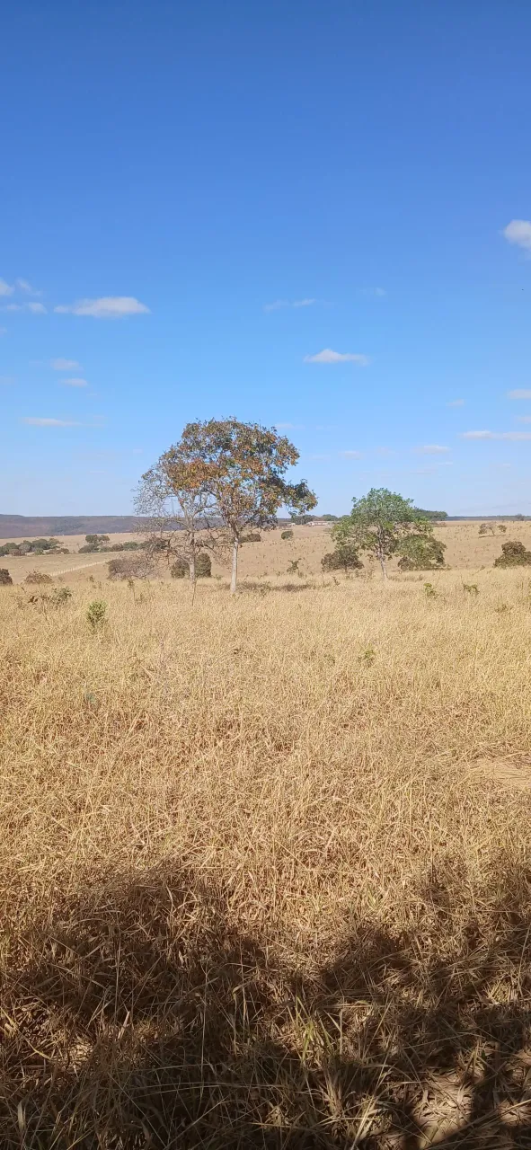 Fazenda Disponível pra Venda......No Estado de Goiás........No município de Luziania. Goiá