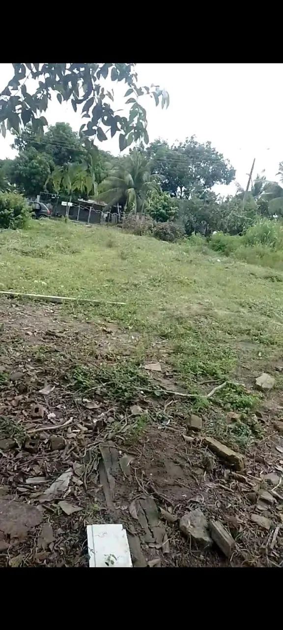 terreno 24 de frente e fundo 25 de lateral esquerdo e direito valor 25 ml valor negociavel - Foto 2