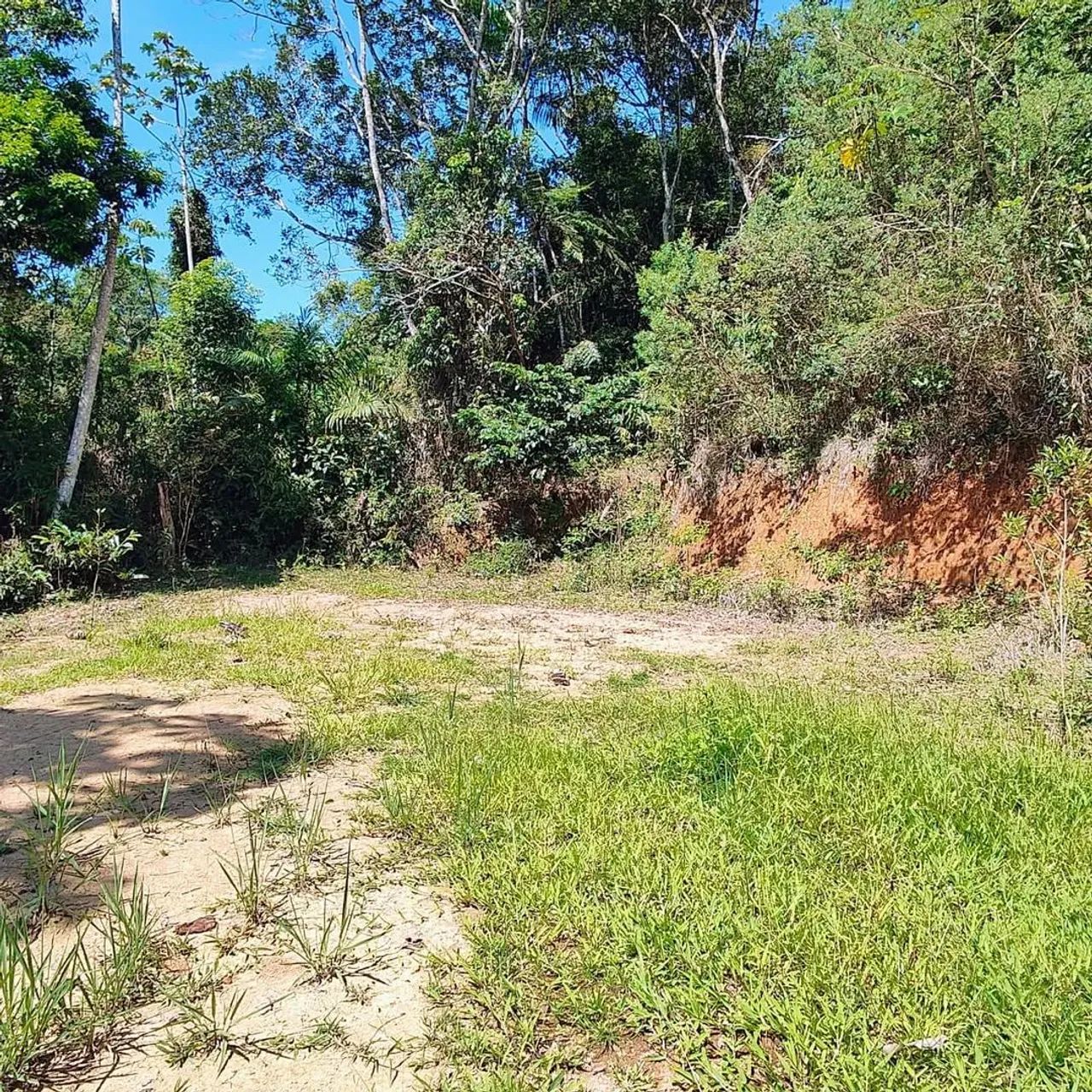 Vendo Terreno em Forquilhas - Foto 2