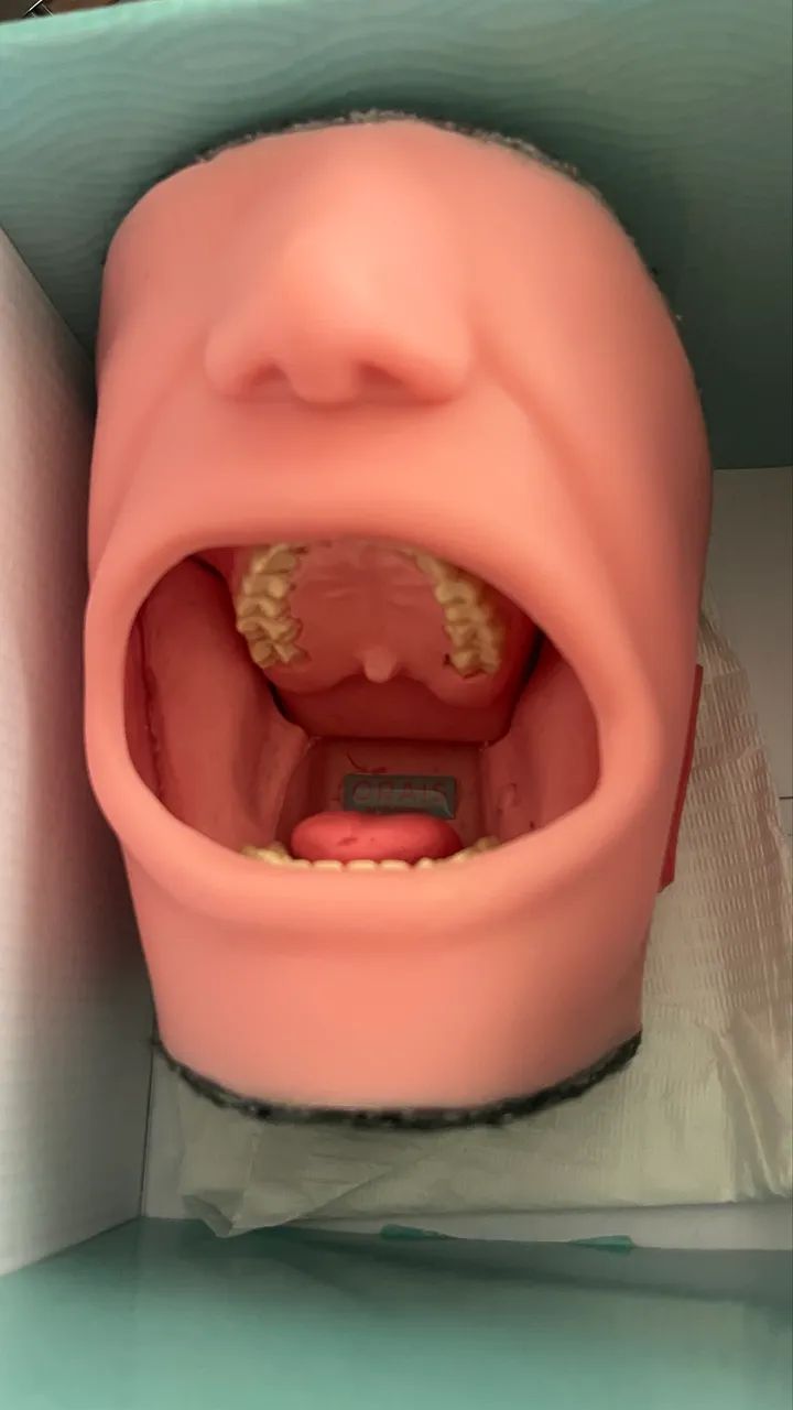 Vendo Manequim de Anestesiologia  - Foto 2
