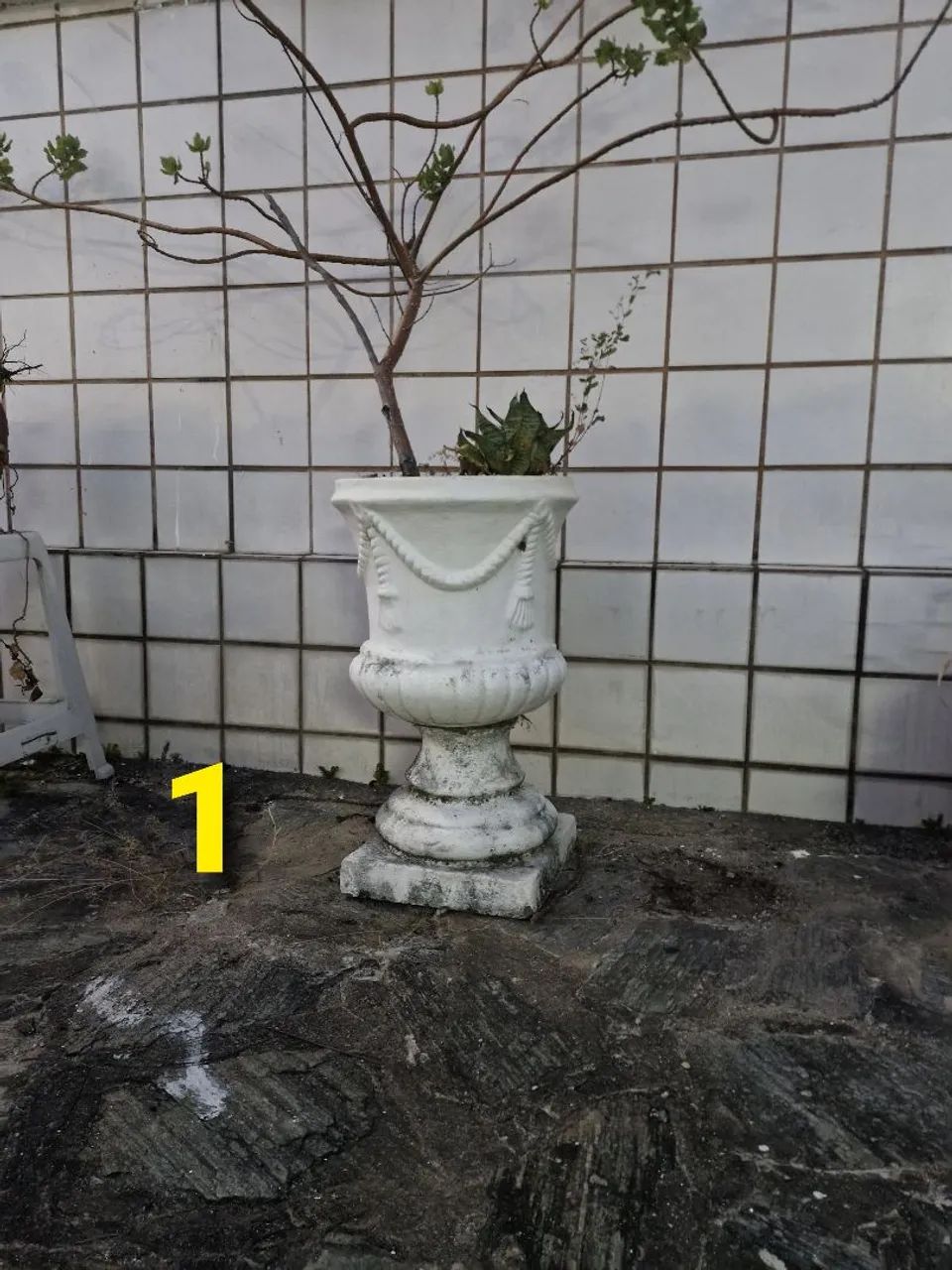 Jarros ornamentais cimento