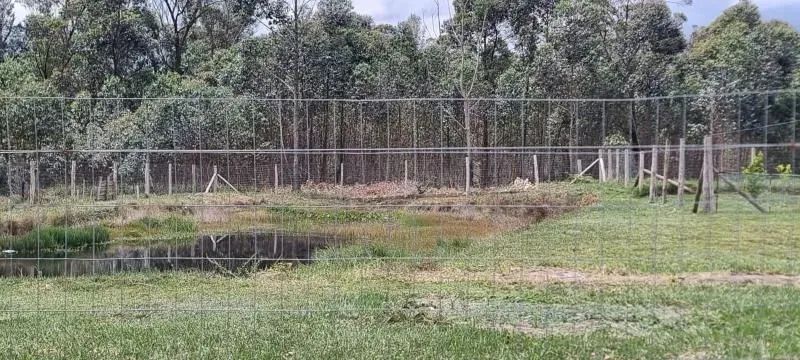 Velleda oferece lindo sítio com boa casa açude a 600 metros do asfalto em Águas Claras - Foto 4