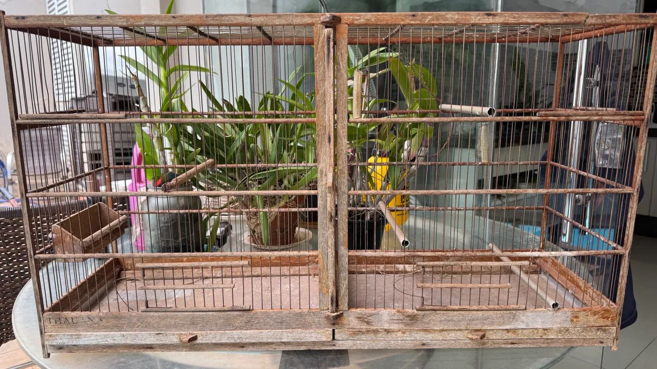 GAIOLA VOADEIRA C/ DIVISORIA