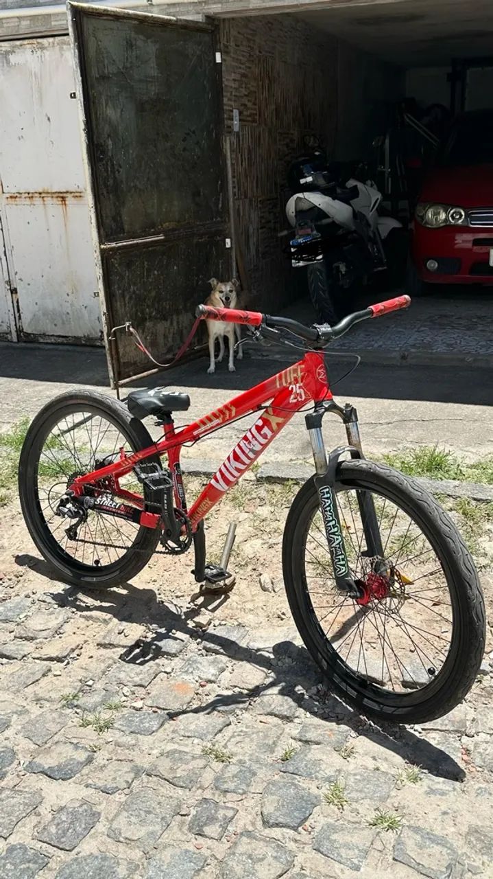 Viking no padrão 