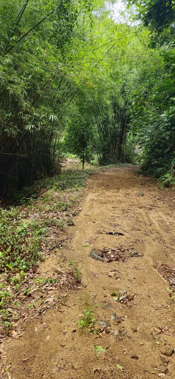 Excelente Sítio à Venda no Rio da Prata de CG! - Foto 5