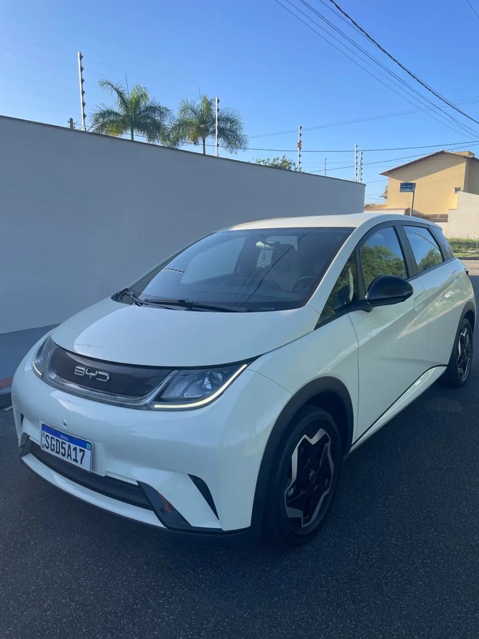 BYD Dolphin EV (Elétrico) 2024 - Foto 2