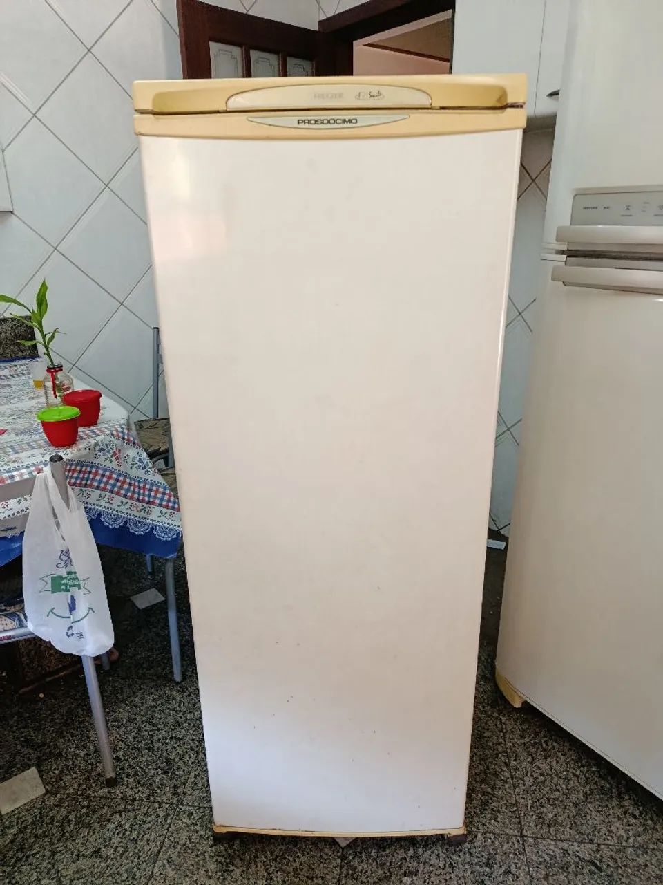 Freezer Vertical PROSDÓCIMO 