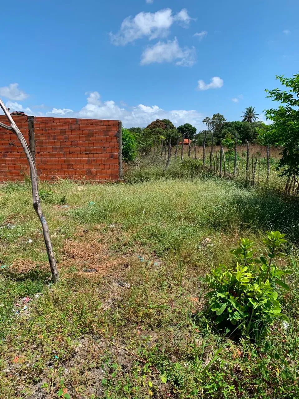 Terreno com casa - Foto 2