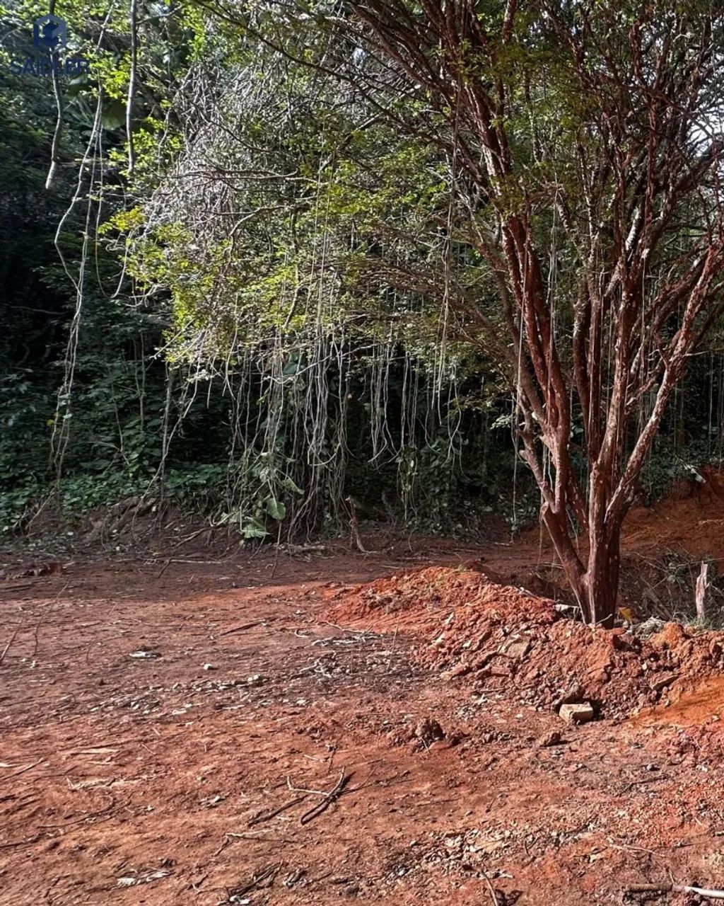 Terrenos em Três Rios RJ, imperdíveis ! - Foto 4
