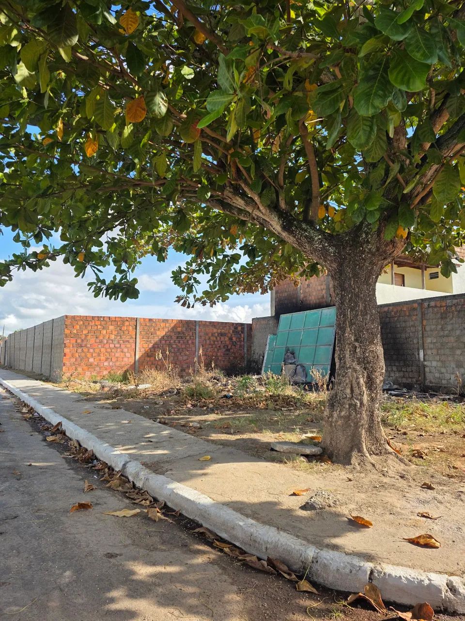 Foto - Marechal Deodoro - 