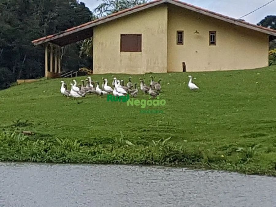 FAZENDA FORMADA COM LAGOS E ALTITUDE EM PARAIBUNA-SP - Foto 3