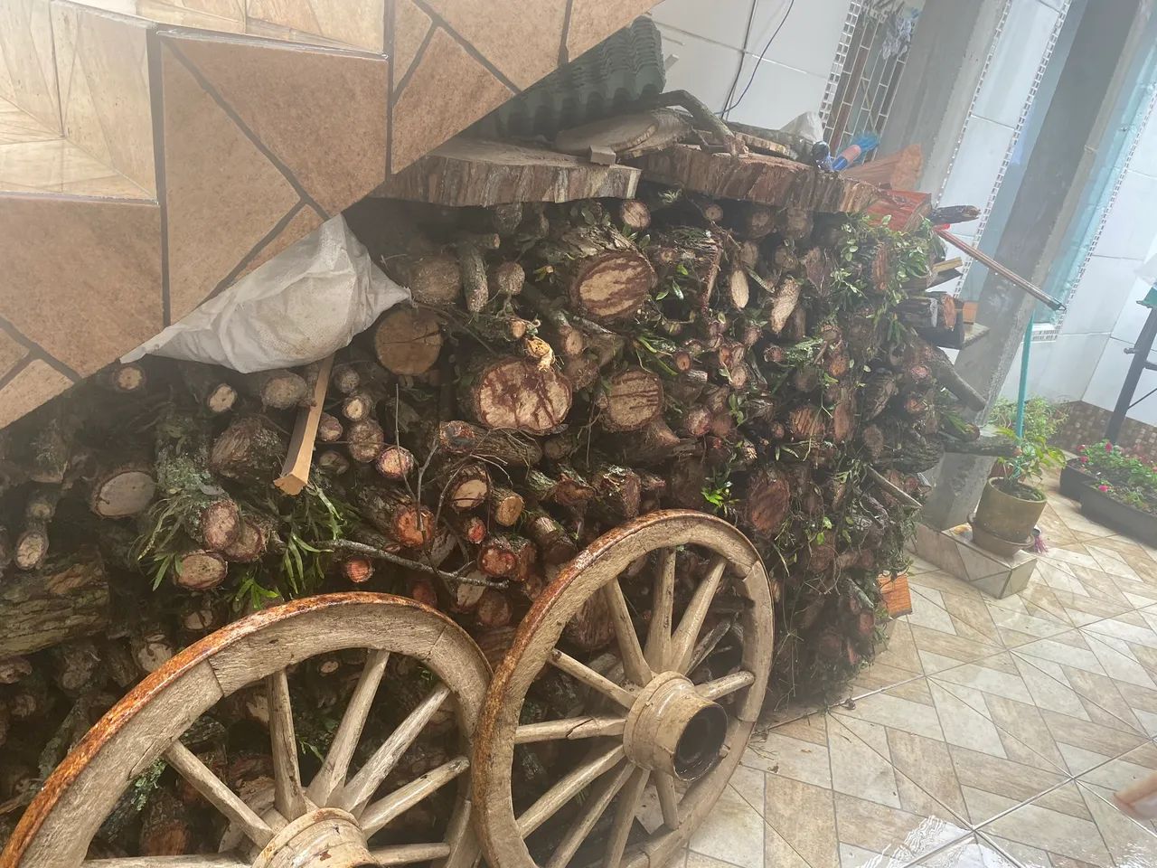 Lenha para churrasco ou lareira - Foto 2