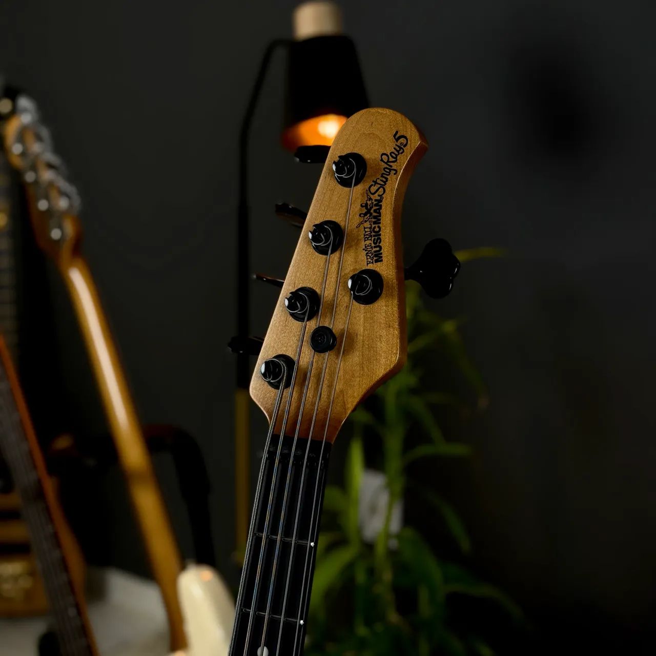Baixo Music Man StingRay Special HH - Foto 3