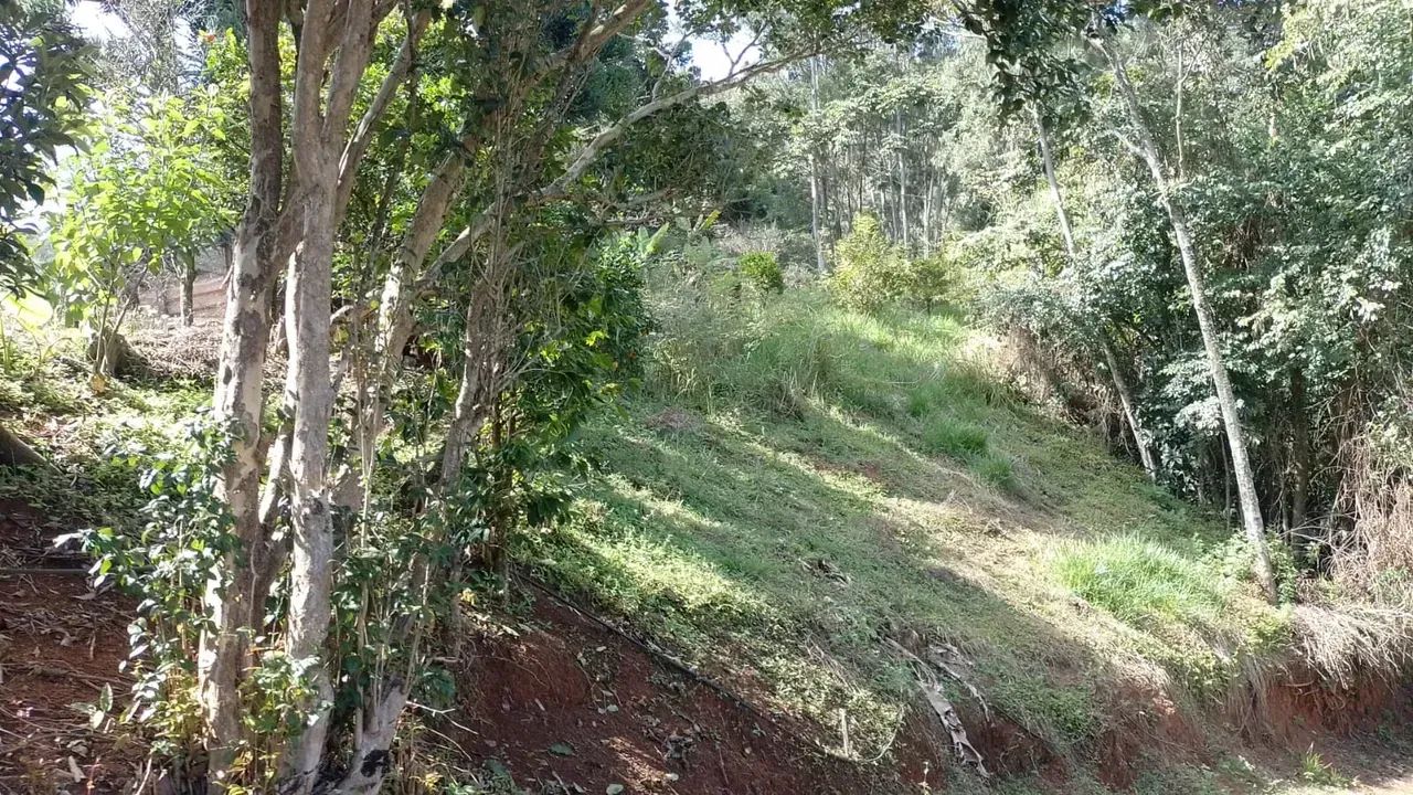 Chácara com 30.000 m em Pedralva MG - Foto 5