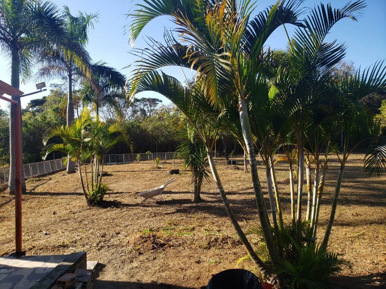            Oportunidade que não se perde - Foto 3